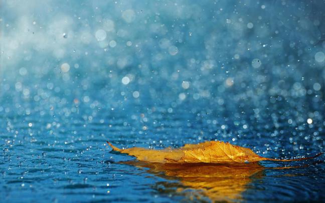 Animated Rain Wallpapers for Desktop (67+ images)