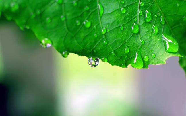 Rain wallpaper HD \u00b7\u2460 Download free awesome full HD wallpapers for 