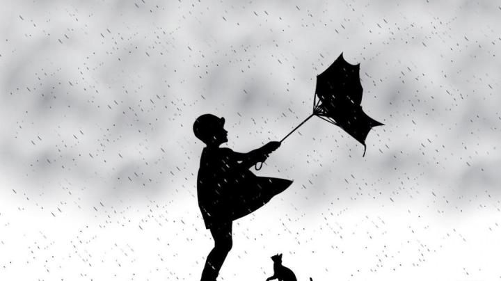 Rain 1920x1080 - Wallpaper, High Definition, High Quality, Widescreen