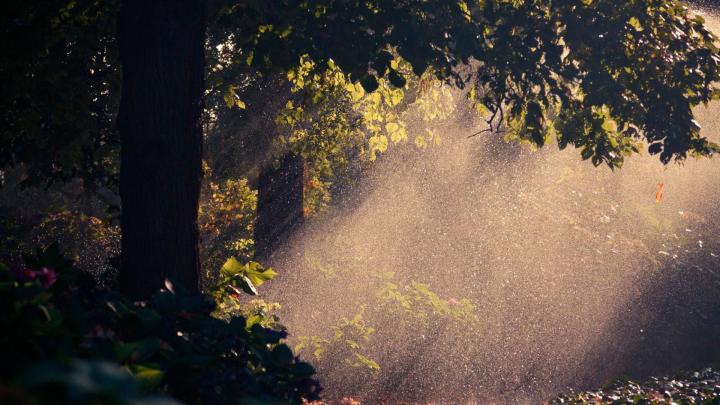 Nature Rain Wallpapers (61+ background pictures)