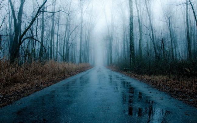 Rainy Road Wallpapers - Top Free Rainy Road Backgrounds - WallpaperAccess