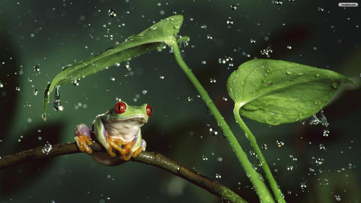 1920X1080 HD Rain Wallpapers - Top Free 1920X1080 HD Rain Backgrounds 
