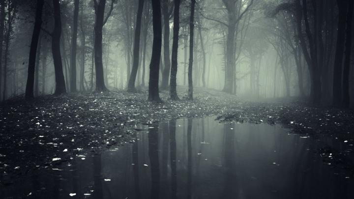 1920X1080 HD Rain Wallpapers - Top Free 1920X1080 HD Rain Backgrounds 