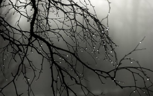 Rain wallpaper HD \u00b7\u2460 Download free awesome full HD wallpapers for 