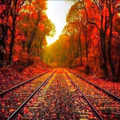 1080p Desktop Background Full Hd Wallpaper Download