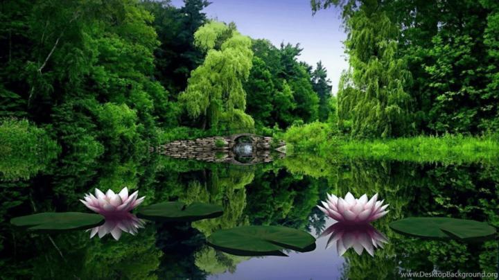 View 15 Nature Wallpapers Full Hd 3D Wallpapers 1920X1080 Free Download 
