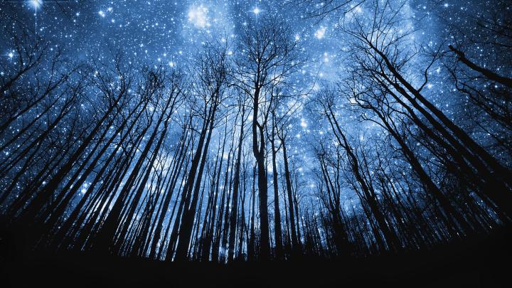 Starry, Night, High, Definition, Wallpaper, Download, Photos, Free 