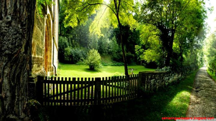 Free download Summer Wallpaper 1920X1080 Amazing Wallpapers [1270x714 