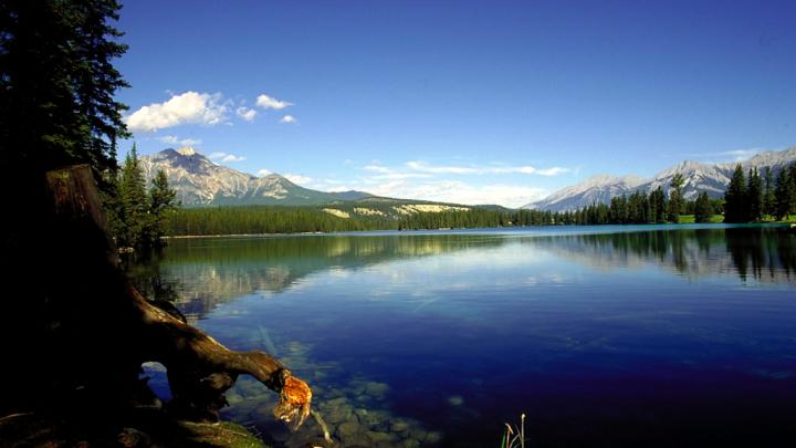 Free download High resolution wallpaper Amazing Wallpapers [1475x988 