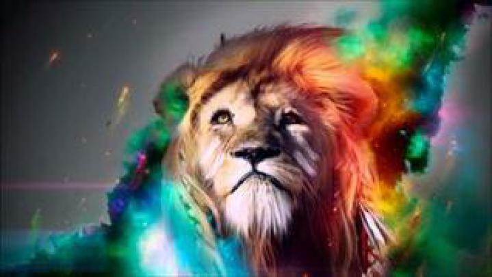 [48+] Amazing Wallpapers 1920x1080 