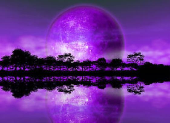 254x183cm Large Wall mural photo wallpaper Purple sky Alien Planet 