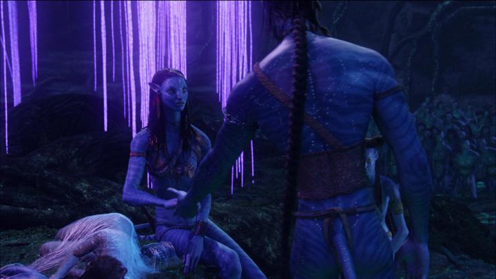 Avatar HD Wallpaper | Background Image | 1920x1080 | 574884 