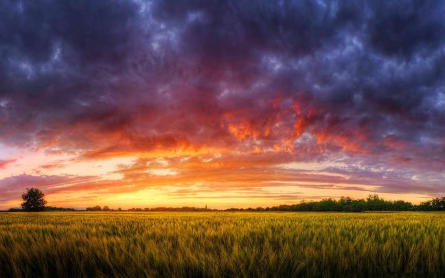 Sun Rise Wallpapers -