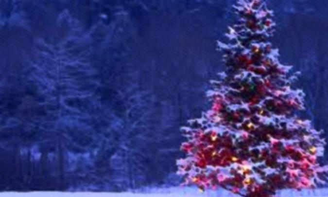 Amazon.com: Marry Christmas Wallpaper 4K 2019: Appstore for Android
