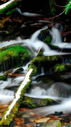 Free download beautiful water green nature iPhone 6 wallpapers HD cool 