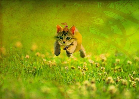 Kids Computer Wallpapers