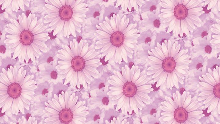 Aesthetic Laptop Wallpapers