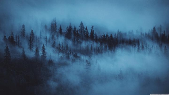 Free download High Definition Aesthetic Wallpaper [3554x1999] for your 