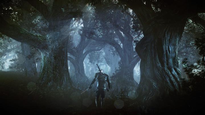 Free download fav 0 rate 0 tweet 1920x1080 games the witcher the 