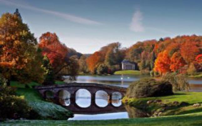 Swarns Lake Green Nature Wallpaper 1920x1080 Full HD Free Download - Free