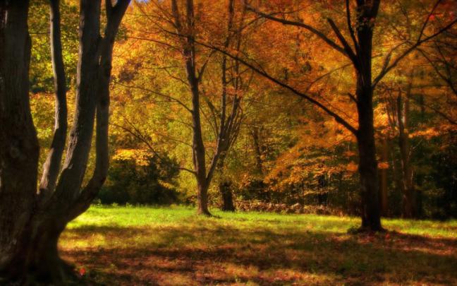 HD Wide Fall (57 images) - DodoWallpaper.