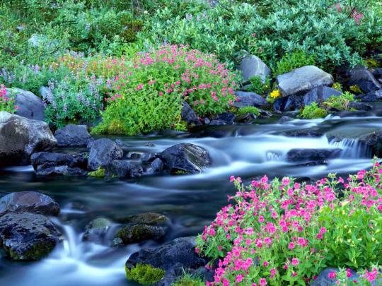 Hd Wallpapers Blog: World Wide Hd Wallpapers