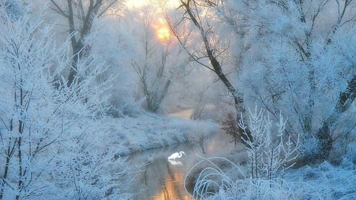 Winter Desktop Wallpaper 1920x1080 - wallpaper. | Winter desktop 