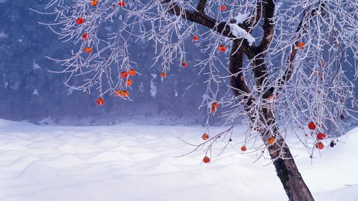 Winter Desktop Wallpapers (71+ background pictures)