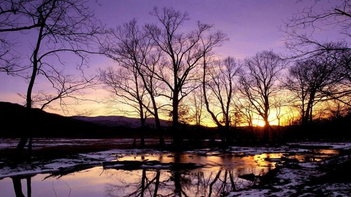 Free download free late winter desktop wallpaper Fish 
