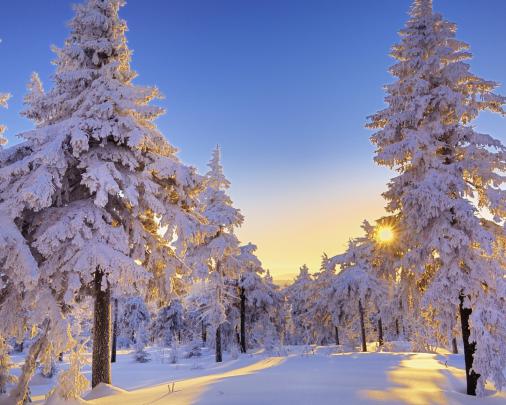 Free download Winter Snow Wallpaper 1920x1080 Winter Snow Trees Germany 