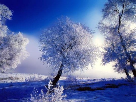 Free download winter desktop wallpaper hd wwwwallpapers in hdcom 