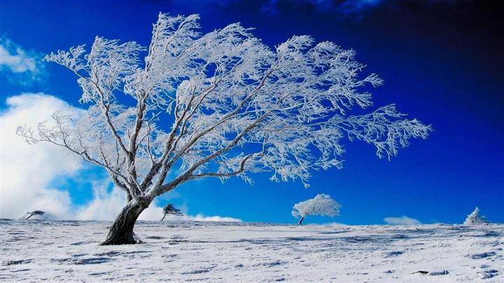 Nature Winter HD Desktop Wallpapers Desktop Background