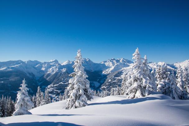 Free download Snow Background wallpaper 1920x1080 84231 [1920x1080] for 