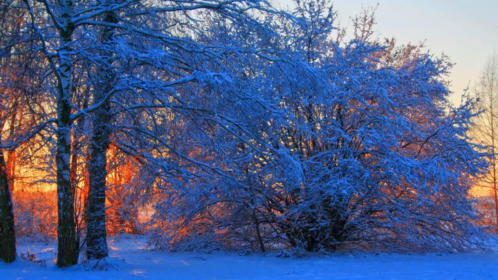 Winter Backgrounds Wallpaper (77+ images)