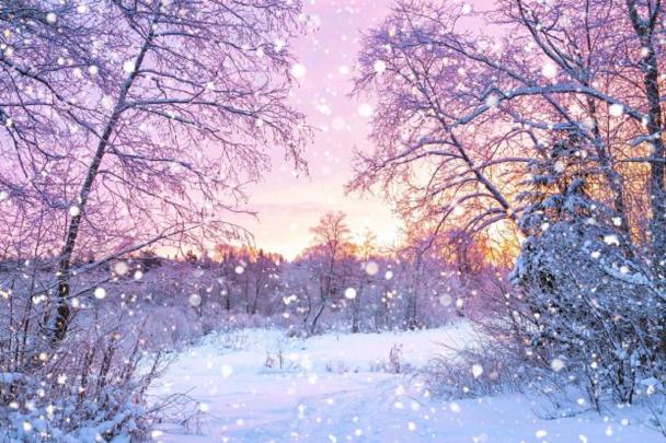 Snow Forest Sunrise Wallpapers - Top Free Snow Forest Sunrise 