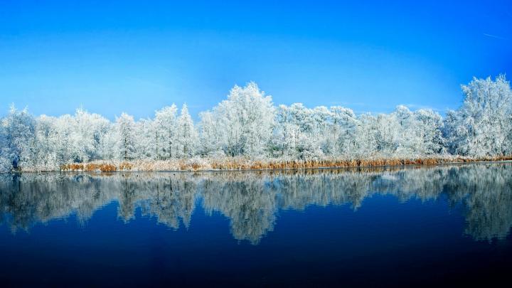 Wallpaper lake, forest, snow, winter, 5k, Nature #17358