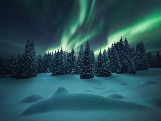 Snowy Forest Night Wallpapers - 4k, HD Snowy Forest Night Backgrounds 