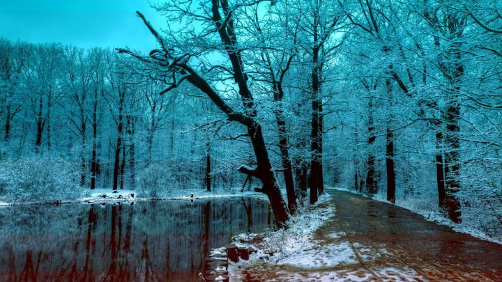 winter forest wallpapers[1920x1080] Need #iPhone #6S #Plus #Wallpaper 