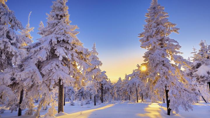 Winter Nature Wallpapers (76+ background pictures)
