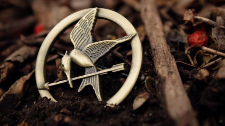 1920x1080 px Badge The Hunger Games High Quality Wallpapers,High 