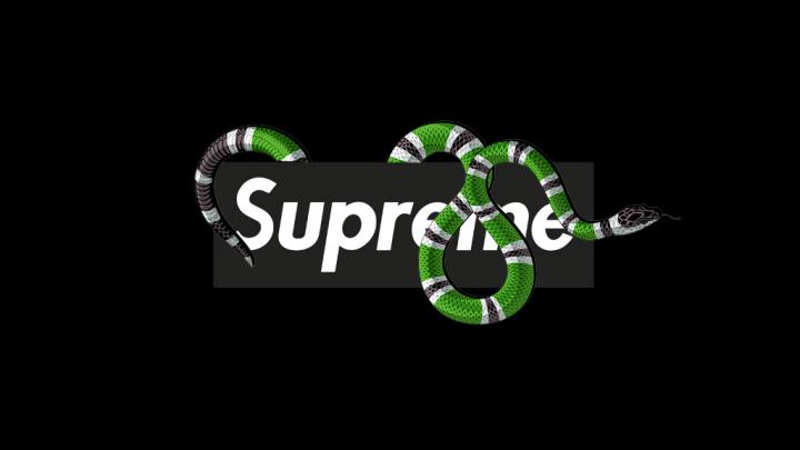 Supreme Background Gucci Snake Wallpaper \/ 1920x1080 Gucci Snake 
