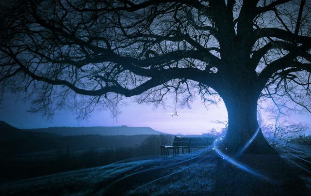 Cool tree wallpaper - SF Wallpaper