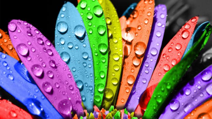 LGBT Quotes Desktop Wallpapers - Top Free LGBT Quotes Desktop 