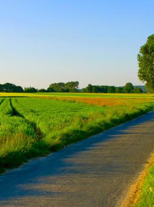 Free download summer nature landscape wallpapers wallpaper images 