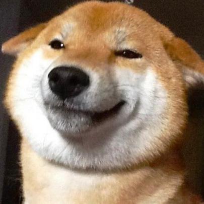 Doge 1080X1080 : Download hd 1080x2280 wallpapers best collection.