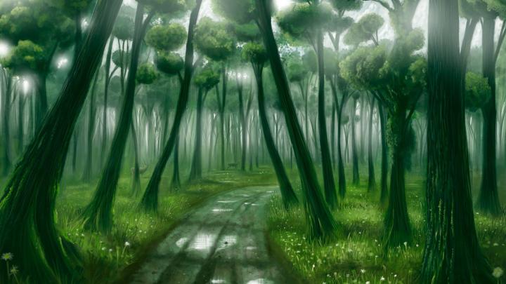 [44+] Fantasy Forest Wallpaper HD 
