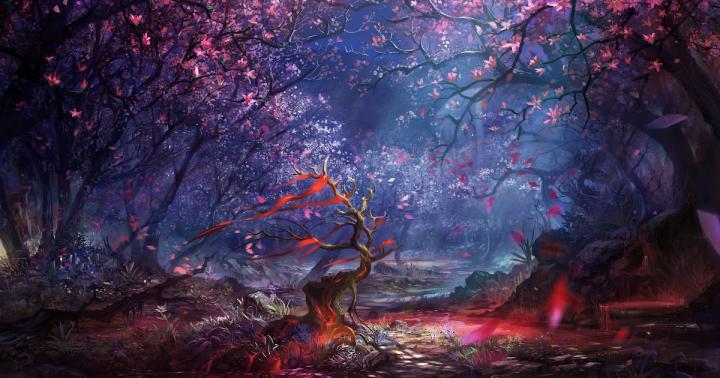 Fantasy Forest Wallpaper 1920x1080 - Free Hd Wallpaper 4K II