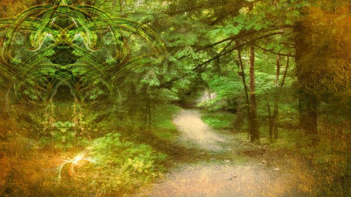 Celtic Forest Wallpapers - Top Free Celtic Forest Backgrounds 