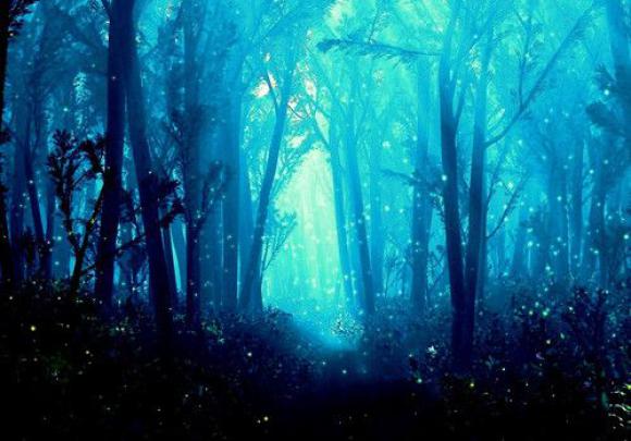 Fantasy Forest Wallpaper Fbi - Nature Wallpaper