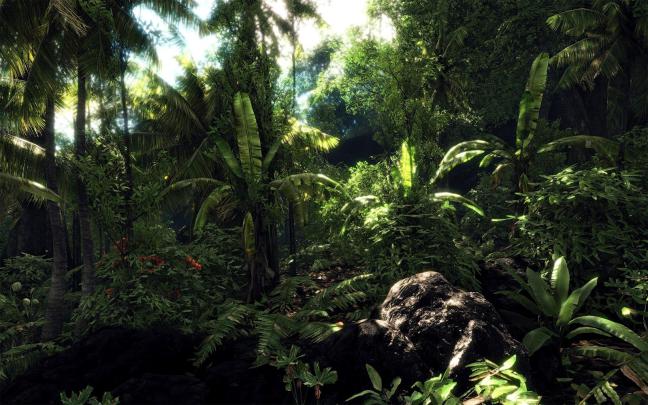 Jungle Ruins Wallpapers - Top Free Jungle Ruins Backgrounds 